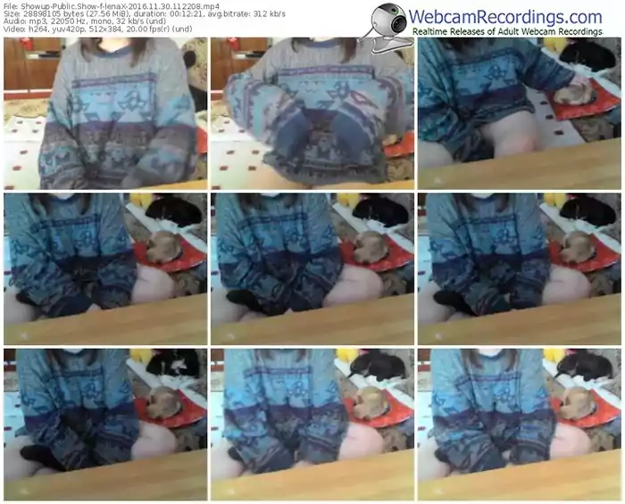 showup-lenax-webcam-show-11_30_2016-11_22_08