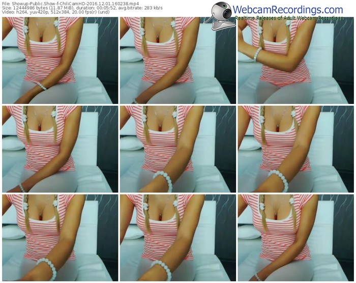 showup-chilicamhd-webcam-show-12_01_2016-16_02_38