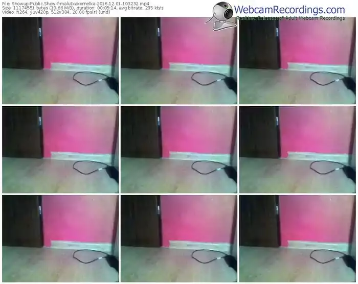 showup-malutkakornelka-webcam-show-12_01_2016-10_32_32