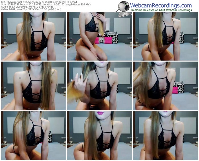 showup-mini_mouse-webcam-show-12_02_2016-21_18_11