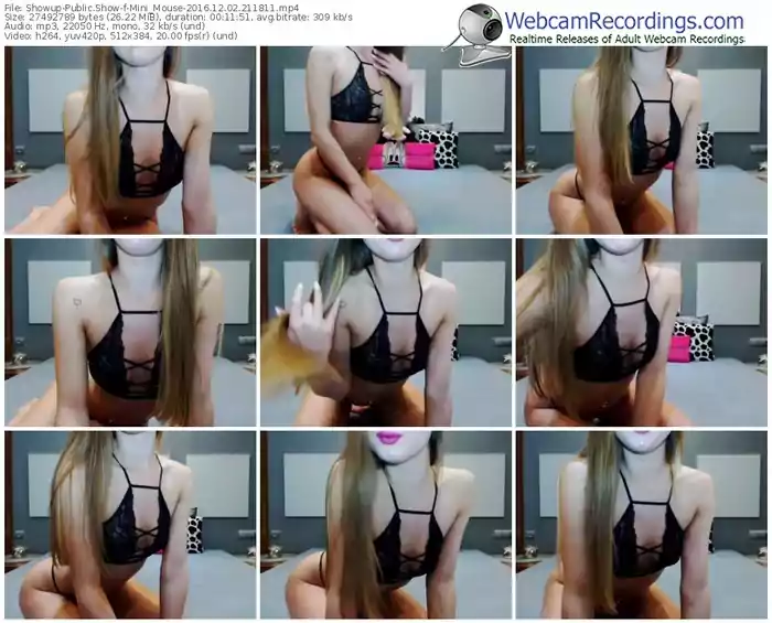 showup-mini_mouse-webcam-show-12_02_2016-21_18_11