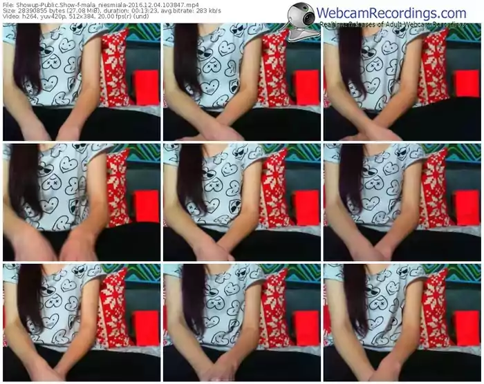 showup-mala_niesmiala-webcam-show-12_04_2016-10_38_47