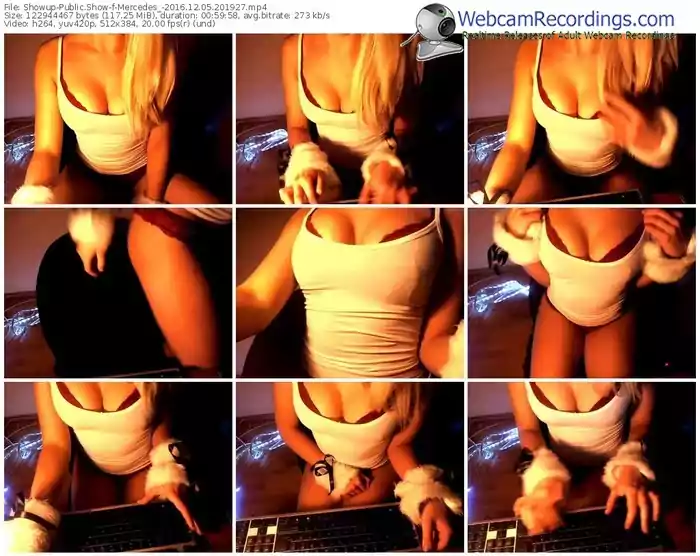 showup-mercedes_-webcam-show-12_05_2016-20_19_27