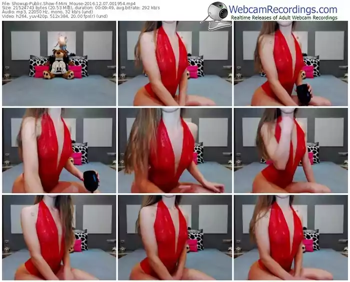 showup-mini_mouse-webcam-show-12_07_2016-00_19_54