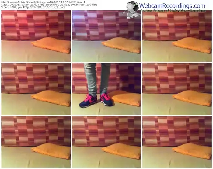 showup-malineczka18-webcam-show-12_08_2016-01_20_16
