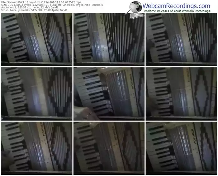 showup-roza1234-webcam-show-12_08_2016-08_25_22