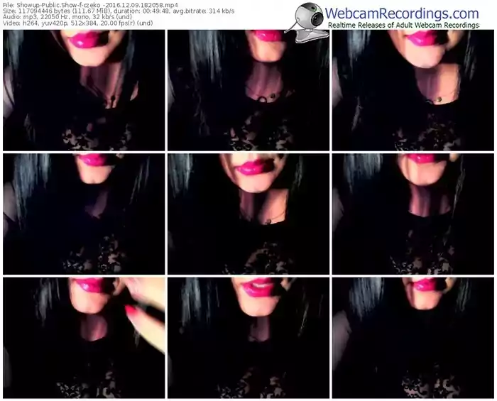 showup-czeko_-webcam-show-12_09_2016-18_20_58