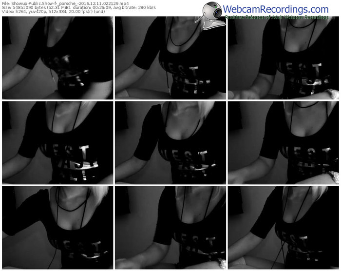 showup-_porsche_-webcam-show-12_11_2016-02_21_29