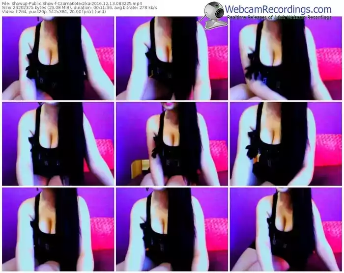 showup-czarnakoteczka-webcam-show-12_13_2016-08_32_25
