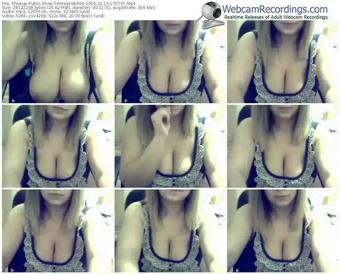 showup-perwersik996-webcam-show-12_13_2016-17_07_37