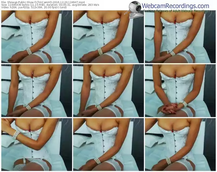 showup-chilicamhd-webcam-show-12_20_2016-12_49_47