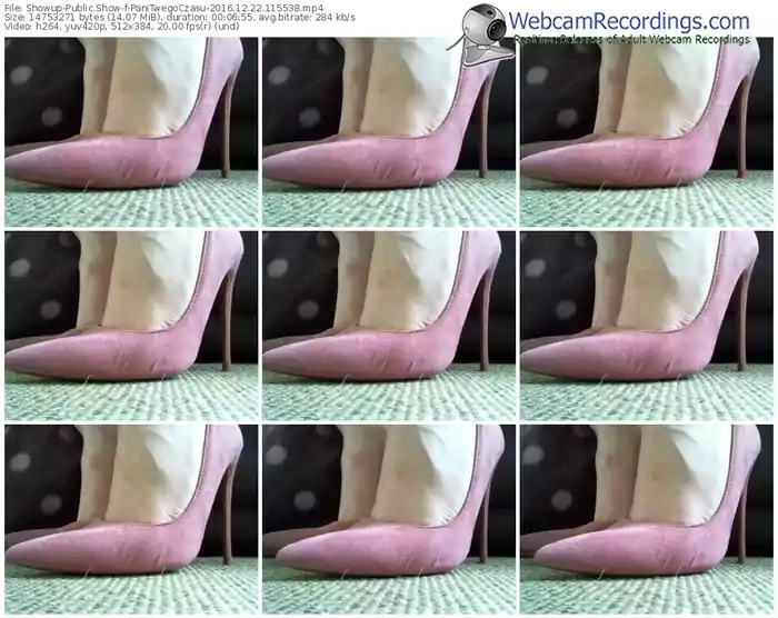 showup-panitwegoczasu-webcam-show-12_22_2016-11_55_38