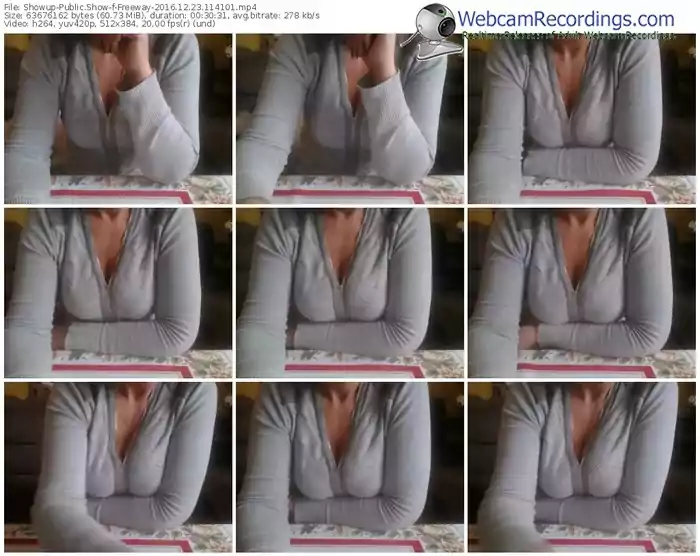 showup-freeway-webcam-show-12_23_2016-11_41_01