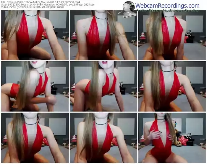 showup-mini_mouse-webcam-show-12_23_2016-00_35_50