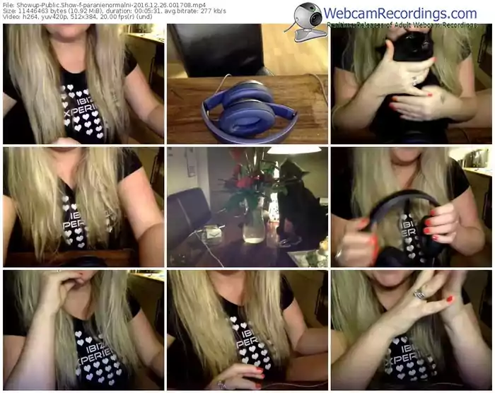 showup-paranienormalni-webcam-show-12_26_2016-00_17_08
