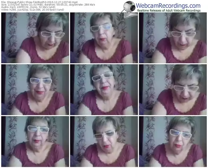 showup-kotka953-webcam-show-12_27_2016-10_37_42