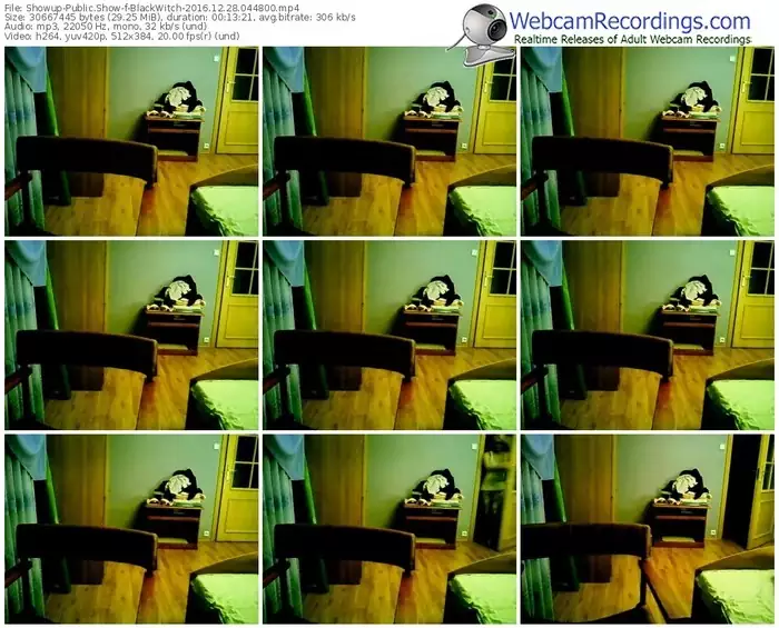 showup-blackwitch-webcam-show-12_28_2016-04_48_00