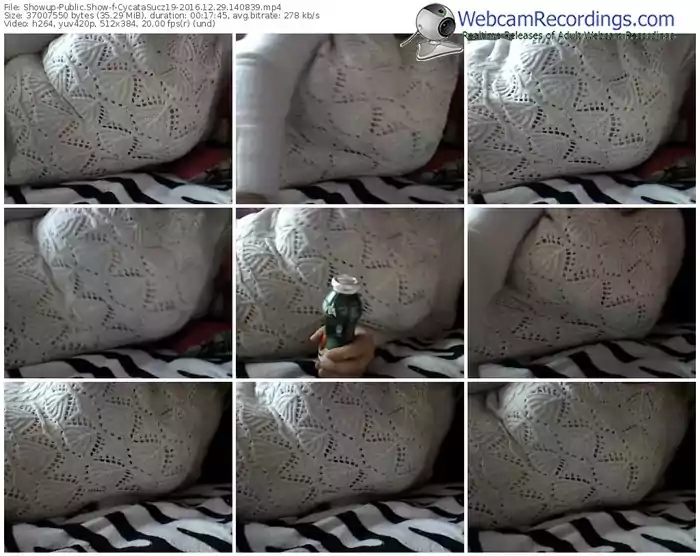 showup-cycatasucz19-webcam-show-12_29_2016-14_08_39