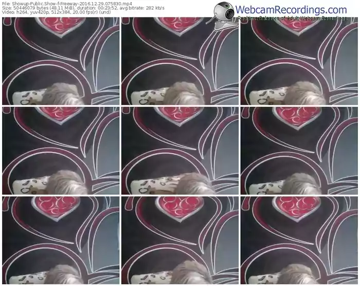 showup-freeway-webcam-show-12_29_2016-07_58_30