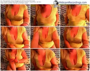 showup-megasquirt-webcam-show-12_29_2016-11_03_37