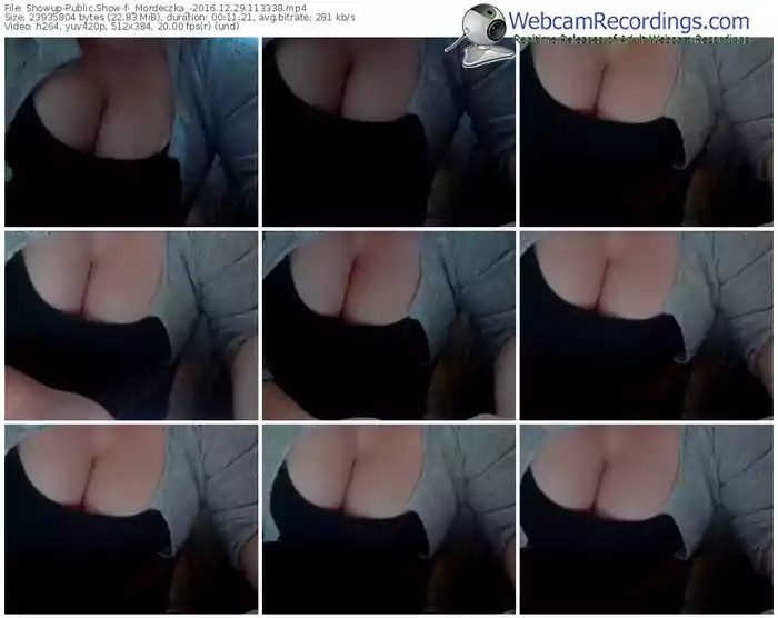 showup-_mordeczka_-webcam-show-12_29_2016-11_33_38