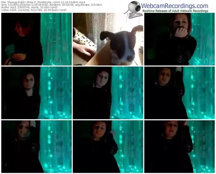 showup-_mordeczka_-webcam-show-12_29_2016-15_28_41