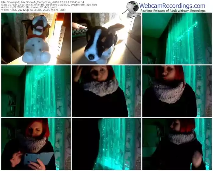 showup-_mordeczka_-webcam-show-12_29_2016-18_33_45