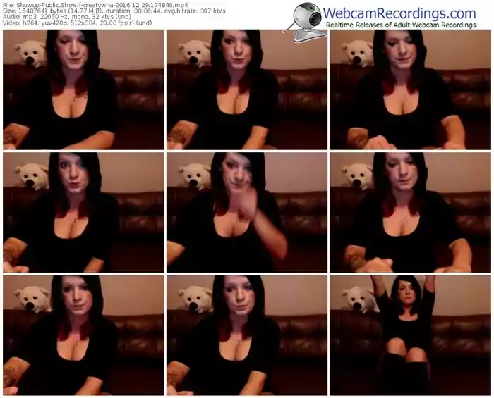 showup-creatywna-webcam-show-12_29_2016-17_48_46