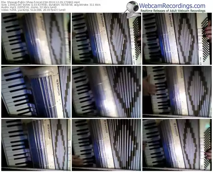 showup-roza1234-webcam-show-12_29_2016-17_08_42