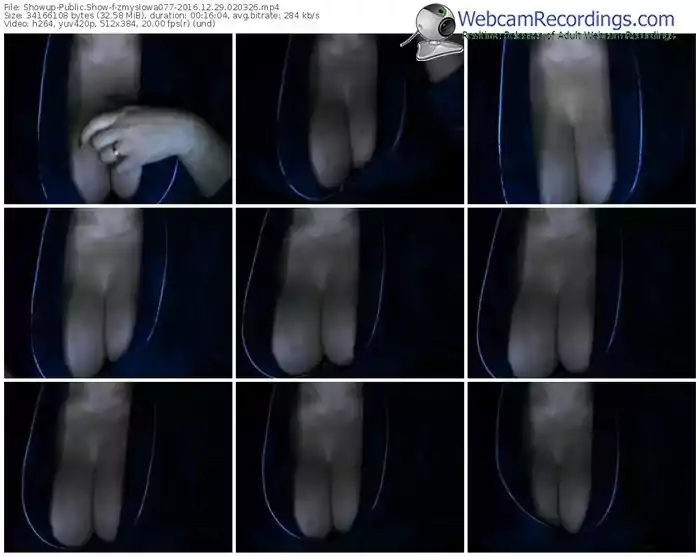 showup-zmyslowa077-webcam-show-12_29_2016-02_03_26