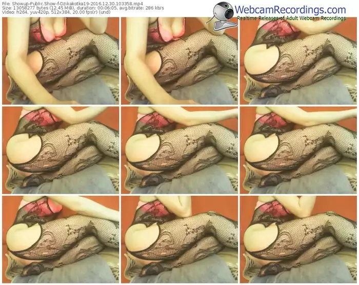 showup-dzikakotka19-webcam-show-12_30_2016-10_33_58