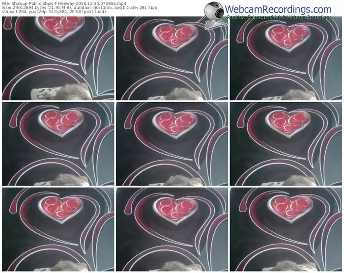 showup-freeway-webcam-show-12_30_2016-07_38_56