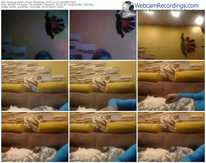 showup-freeway-webcam-show-12_30_2016-16_04_08