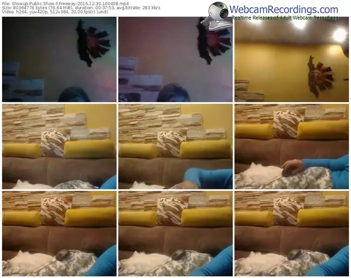 showup-freeway-webcam-show-12_30_2016-16_04_08