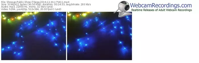 showup-taiga-webcam-show-12_30_2016-17_54_11