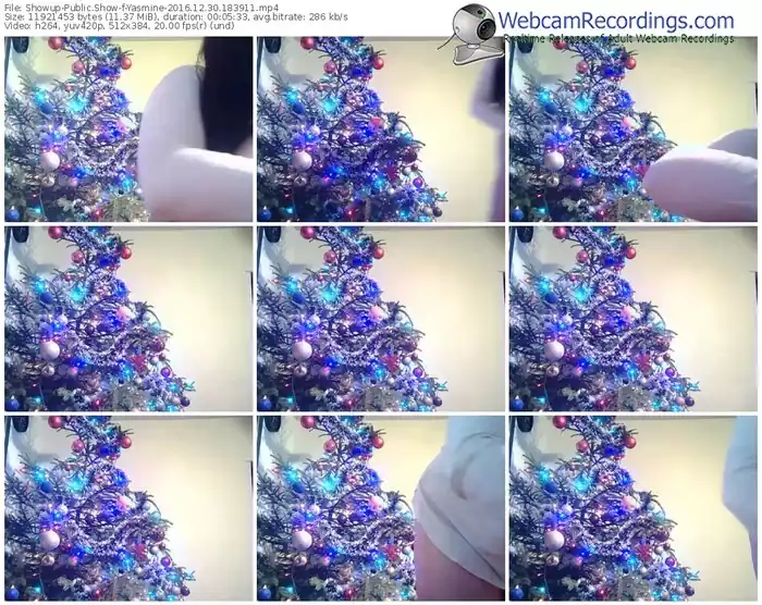 showup-yasmine-webcam-show-12_30_2016-18_39_11