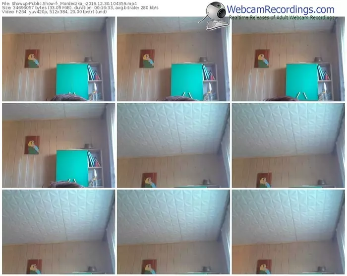 showup-_mordeczka_-webcam-show-12_30_2016-10_43_59