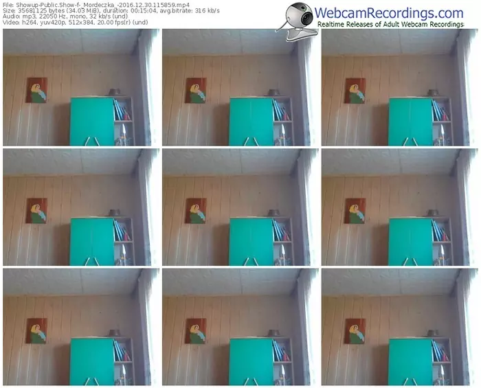 showup-_mordeczka_-webcam-show-12_30_2016-11_58_59