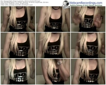 showup-_porsche_-webcam-show-12_30_2016-01_13_53