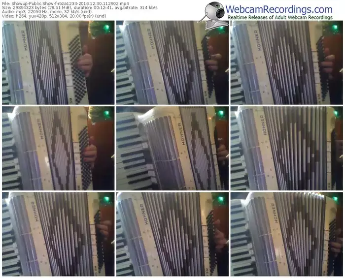 showup-roza1234-webcam-show-12_30_2016-11_29_02