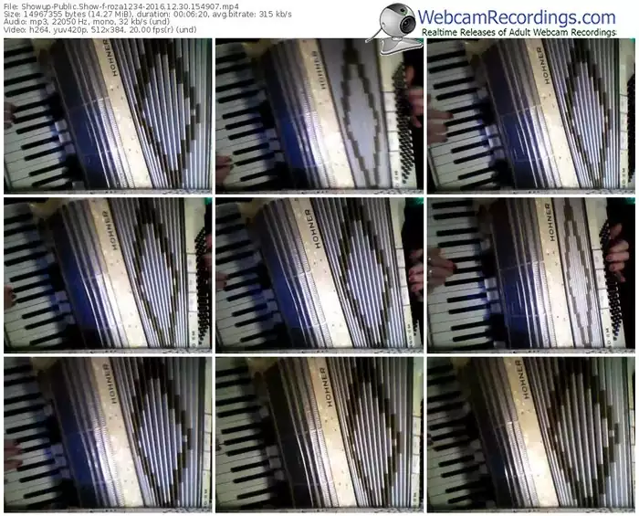 showup-roza1234-webcam-show-12_30_2016-15_49_07