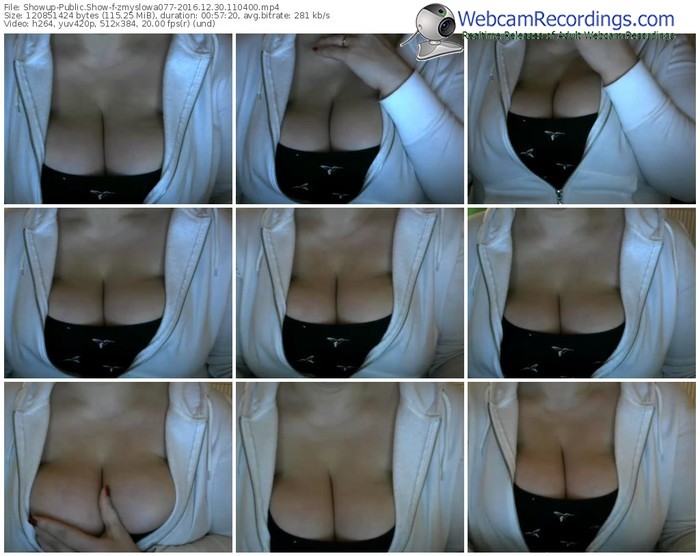 showup-zmyslowa077-webcam-show-12_30_2016-11_04_00