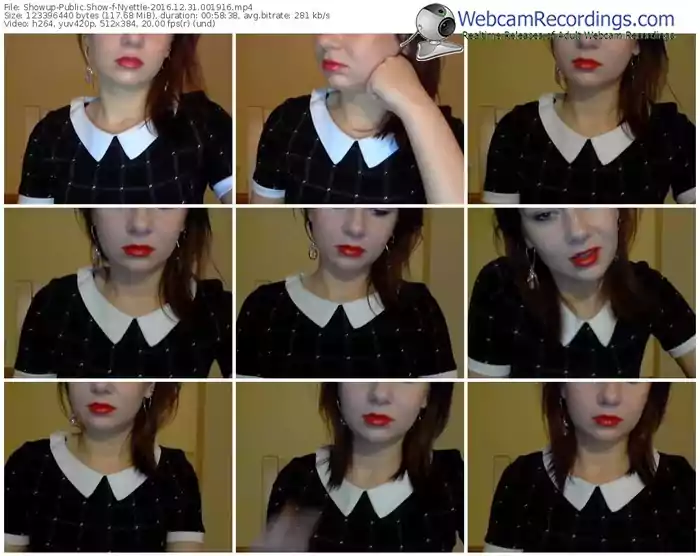 showup-nyettle-webcam-show-12_31_2016-00_19_16