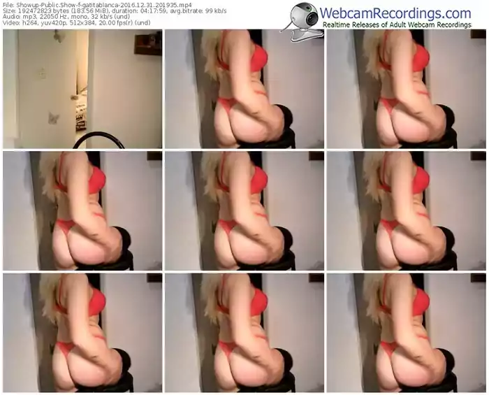 showup-gatitablanca-webcam-show-12_31_2016-20_19_35