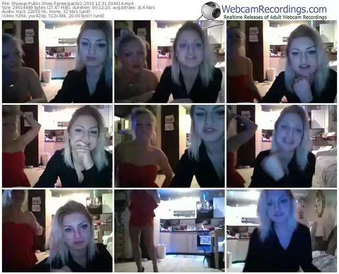 showup-prawojazdy1-webcam-show-12_31_2016-00_44_14