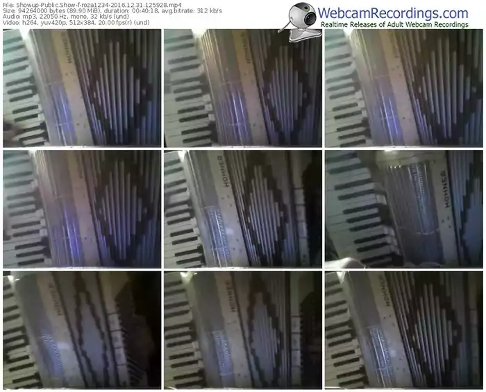 showup-roza1234-webcam-show-12_31_2016-12_59_28