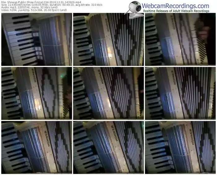 showup-roza1234-webcam-show-12_31_2016-14_39_29