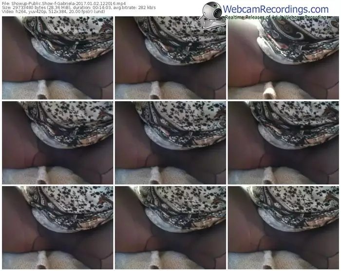 showup-gabriela-webcam-show-01_02_2017-12_20_16