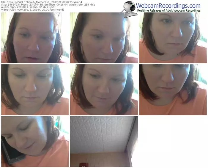 showup-_mordeczka_-webcam-show-01_02_2017-07_35_14
