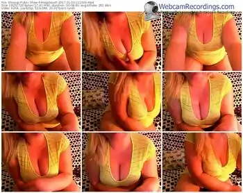 showup-megasquirt-webcam-show-01_03_2017-11_10_39